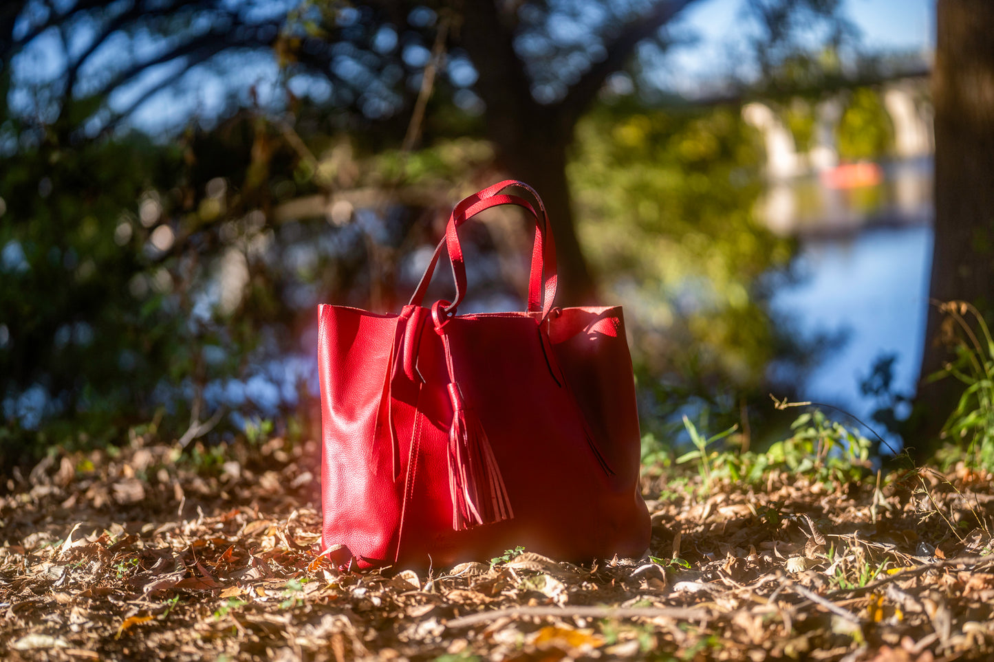 THE TOTE BAG