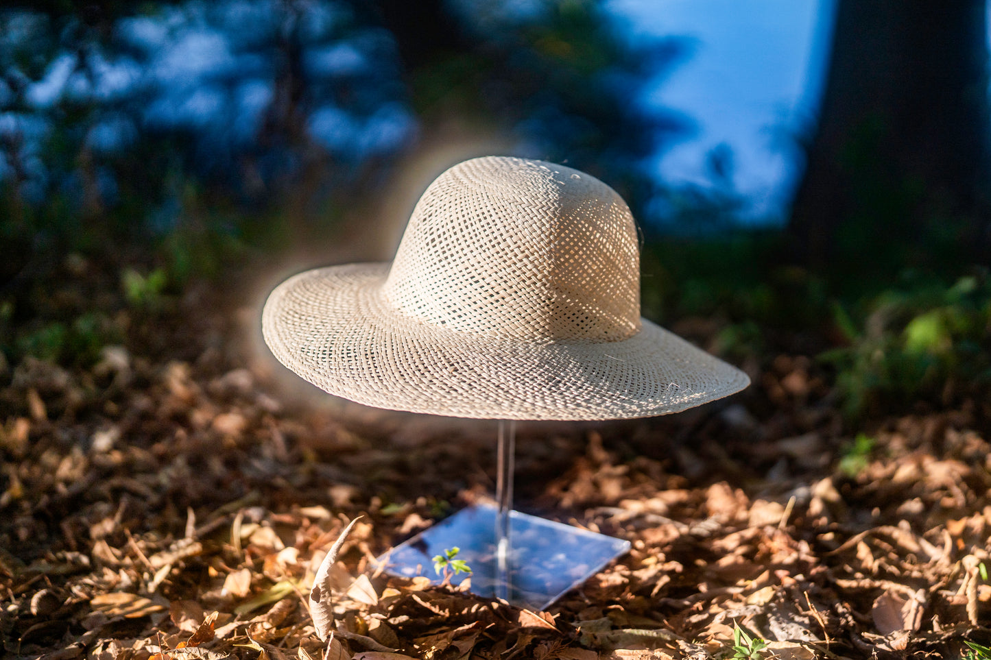 JIPIJAPA LADIES HAT