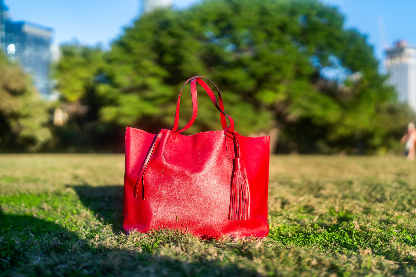 THE TOTE BAG