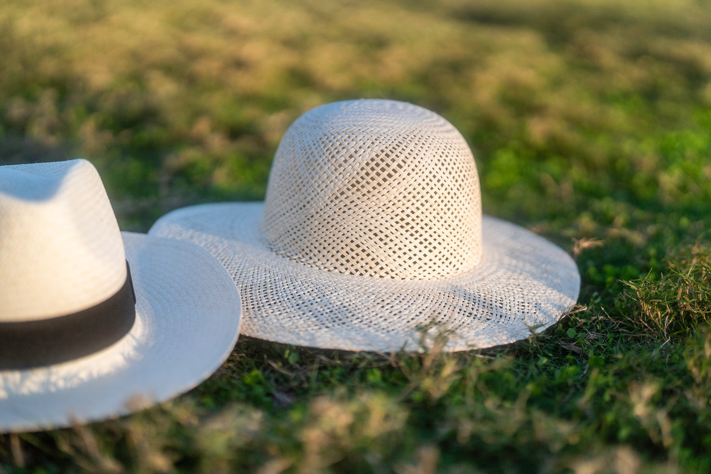 JIPIJAPA LADIES HAT