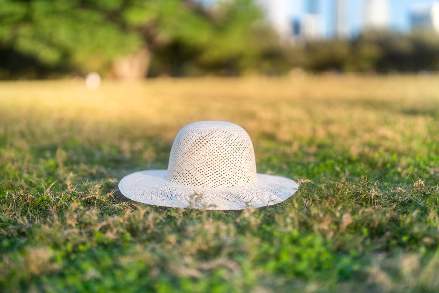 JIPIJAPA LADIES HAT